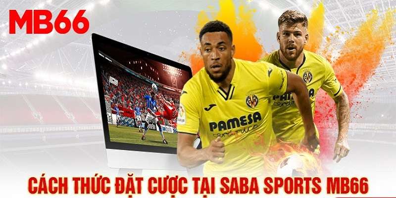 Các hình thức cược bóng đá cược saba sport Mb66