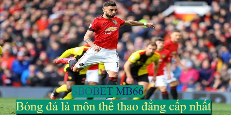 Sbobet Mb66 là gì?